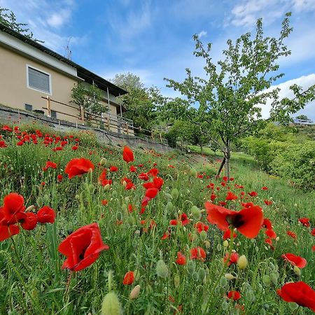 Casa Le Vignole - Aosta Villa Kültér fotó